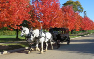 Star Line Mackinac Island Ferry Company Fall Horse Drawn Carriage